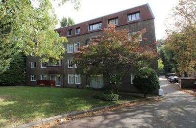 Lovely room-Low deposit-Crystal Palace Main Photo