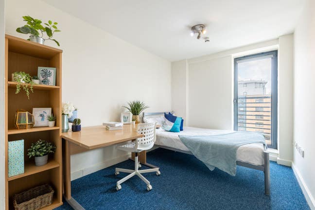 Rooms  in  7  Bed  Apt  (9RT) Main Photo
