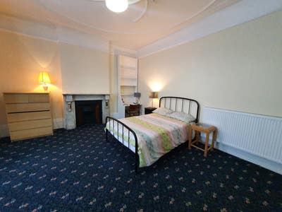 Large, lovely room in clean house Main Photo