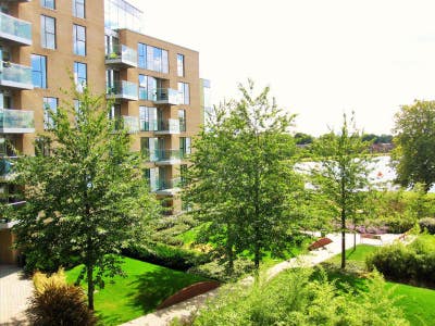 ⭐️Fantastic Double Room Available for Professional Main Photo