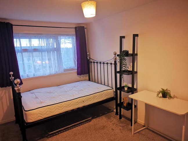 Clean tidy friendly home b61 Main Photo