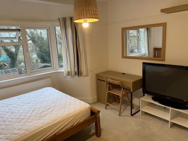 Bright ,decorated, LARGE double room, Lea Bridge Main Photo