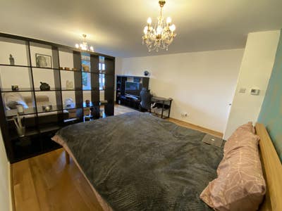 Massive/unique room in Canary Wharf Main Photo