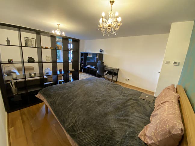 Massive/unique room in Canary Wharf Main Photo
