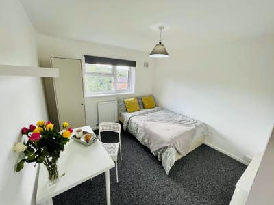 Rooms available in freshly renovated house Main Photo