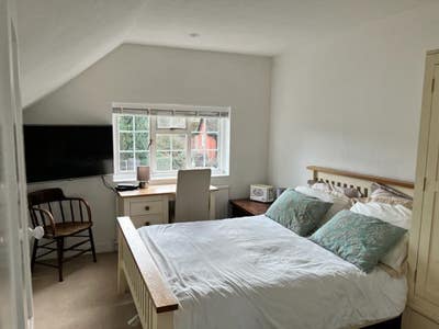 Outgoing professional, 3 month rental Main Photo