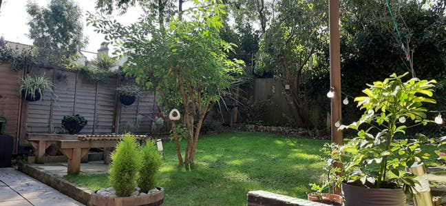 Garden flatshare near Tooting Bec Tube Main Photo