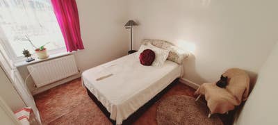 1 double bedroom Fareham Main Photo