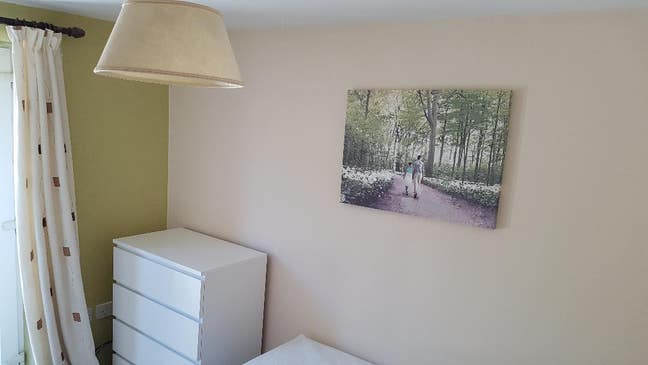 Single Room in Hampton with Juliet balcony Main Photo