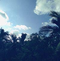 23 yesrs  old working guy looking for single or do Main Photo