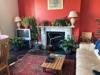 Room available in House share Central Dawlish Main Photo