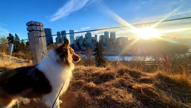 Ensuite room or bedsit Main Photo