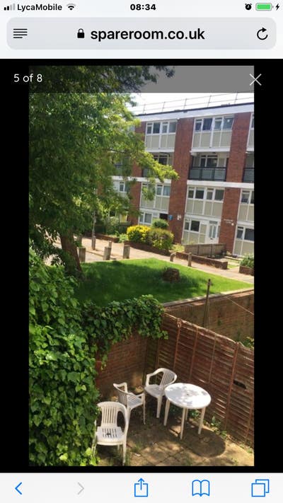 Sunny Large Room with Trees View at Battersea SW11 Main Photo