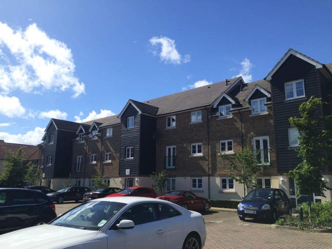 Lovely 3 bed flatshare - Perfect for Professionals Main Photo