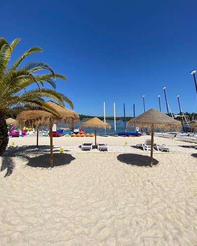 Room needed Main Photo