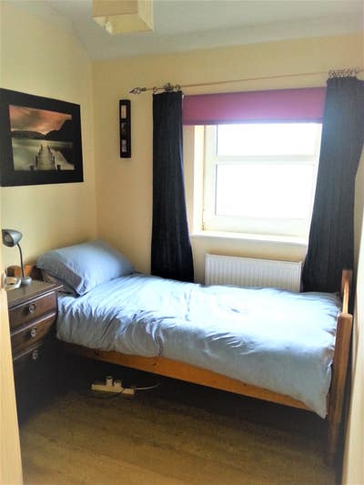 Relaxed space 15 mins to Cambridge center Main Photo