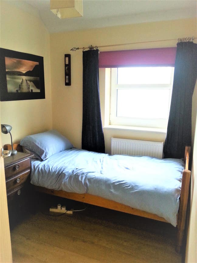 Relaxed space 15 mins to Cambridge center Main Photo