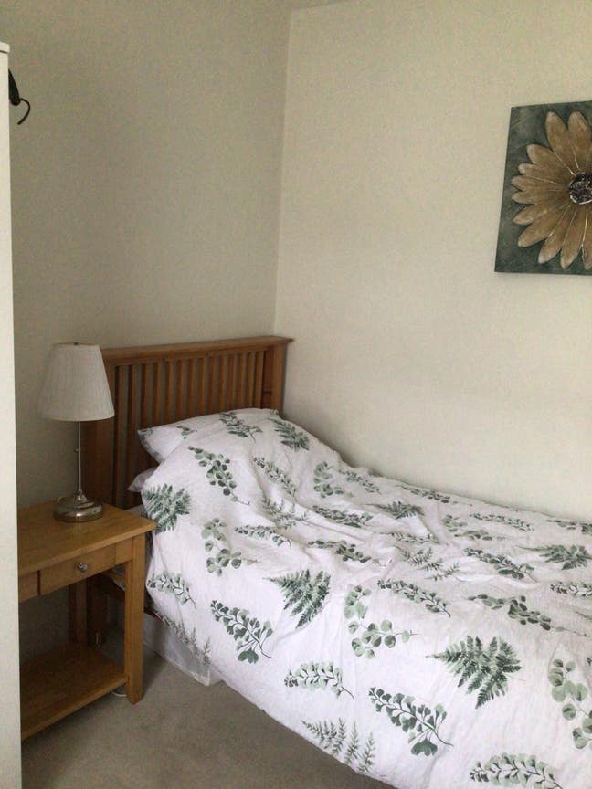 Comfy single room in Reading close to amenities Main Photo