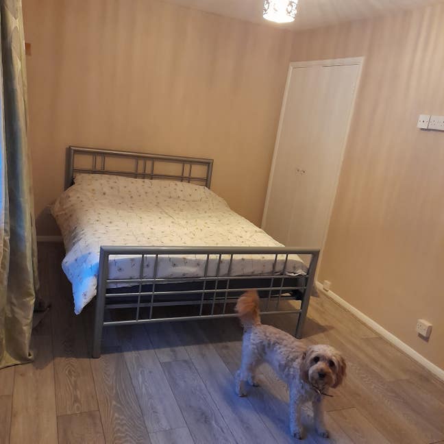 Bedroom available in comfortable house share  Main Photo