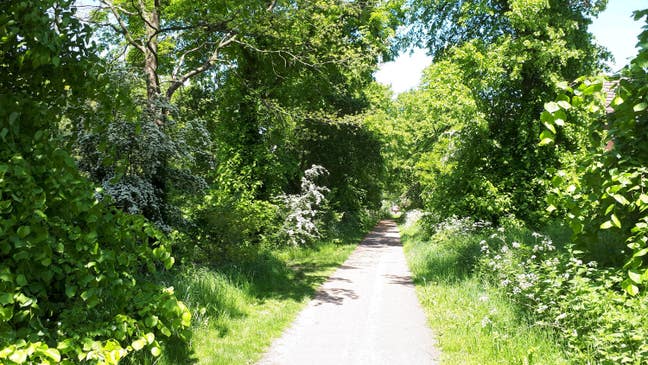 Bright clean double room  Main Photo