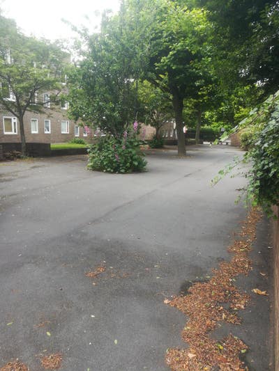 Spacious Room Quiet Flat Immediate Avail Bills Inc Main Photo