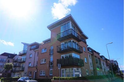 Room for rent - spacious double bedroom Main Photo