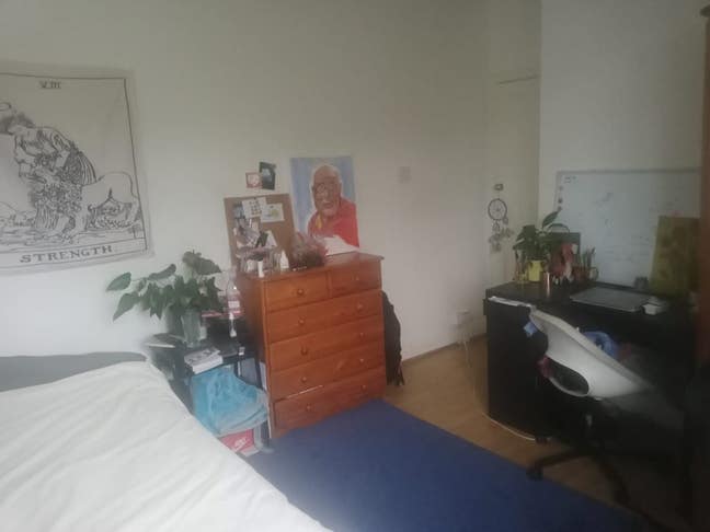 Double bedroom in Muswell Hill  Main Photo