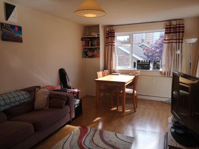 Light, airy rooms in spacious flat. Main Photo