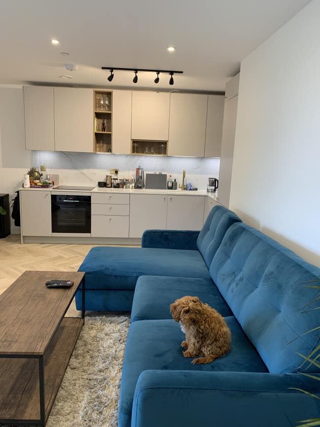 New build double room in 2 bed flat, 2 bath Main Photo