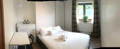 Tidy House Main Photo