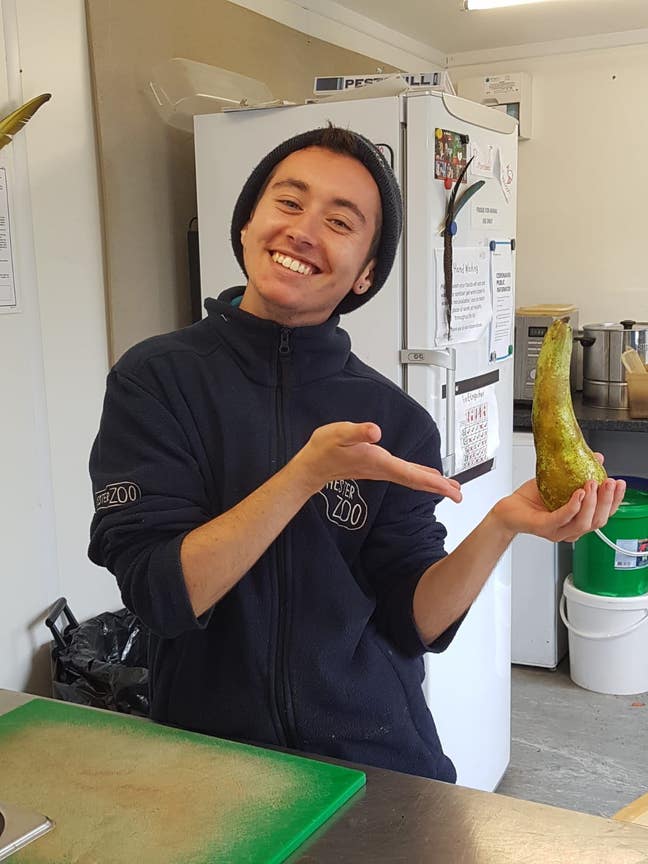 Northern zookeeper looking for a room in London 🦆 Main Photo