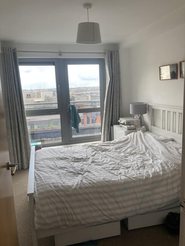 Room in spacious central veggie/vegan flat Main Photo