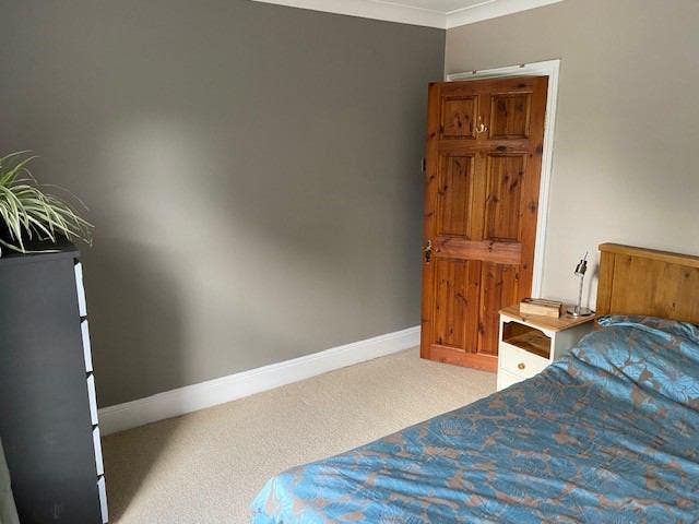 Spacious Double Room in Nice Home Main Photo