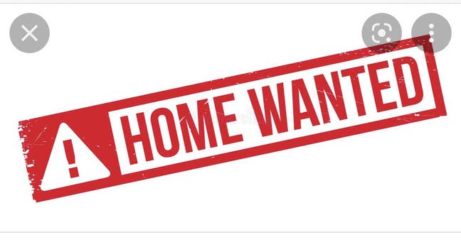 Room wanted! Main Photo