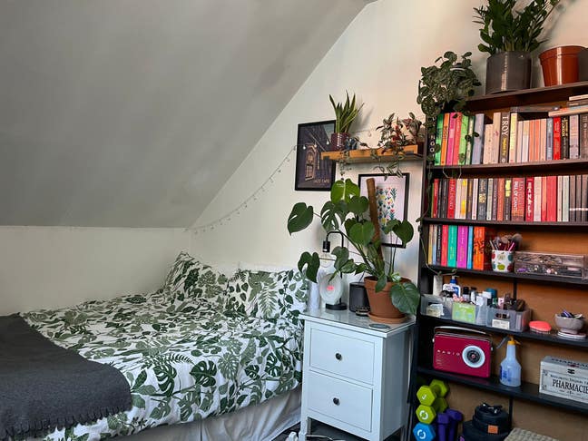 Double room available in lovely Hampstead flat Main Photo