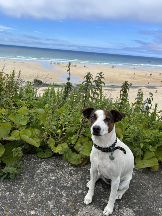 1 bed flat/studio/double room Main Photo