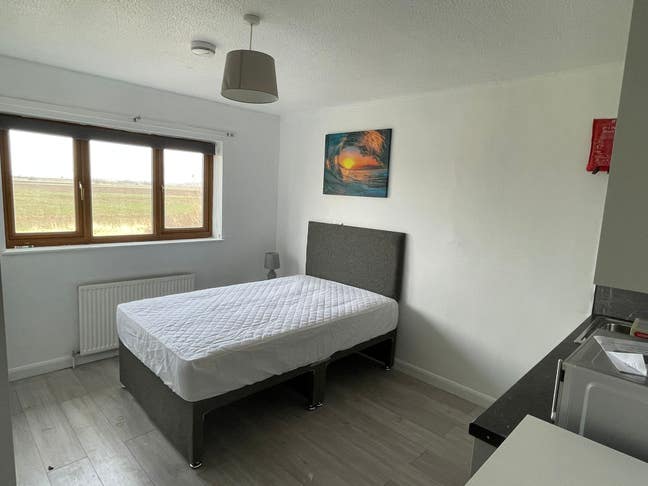 All bills included studio, Cheapest rent in town Main Photo