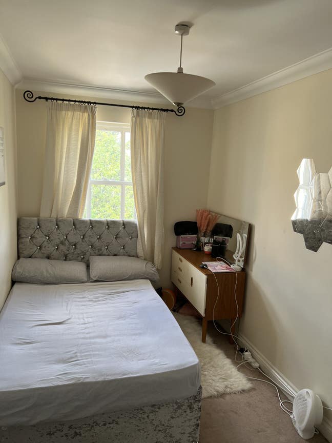 Single available to share with a female Main Photo