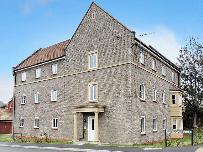 Single Bedroom in Speedwell w/parking  Main Photo