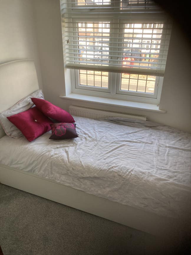  Single room clean quiet home ( also double rm ) Main Photo