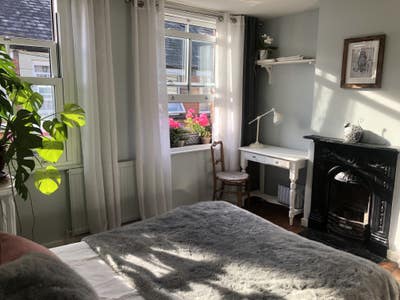Central Location, private bathroom, one housemate Main Photo