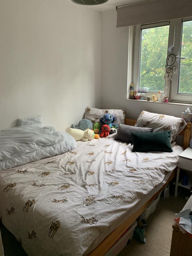 Double room in lovely 3 bed flat Main Photo