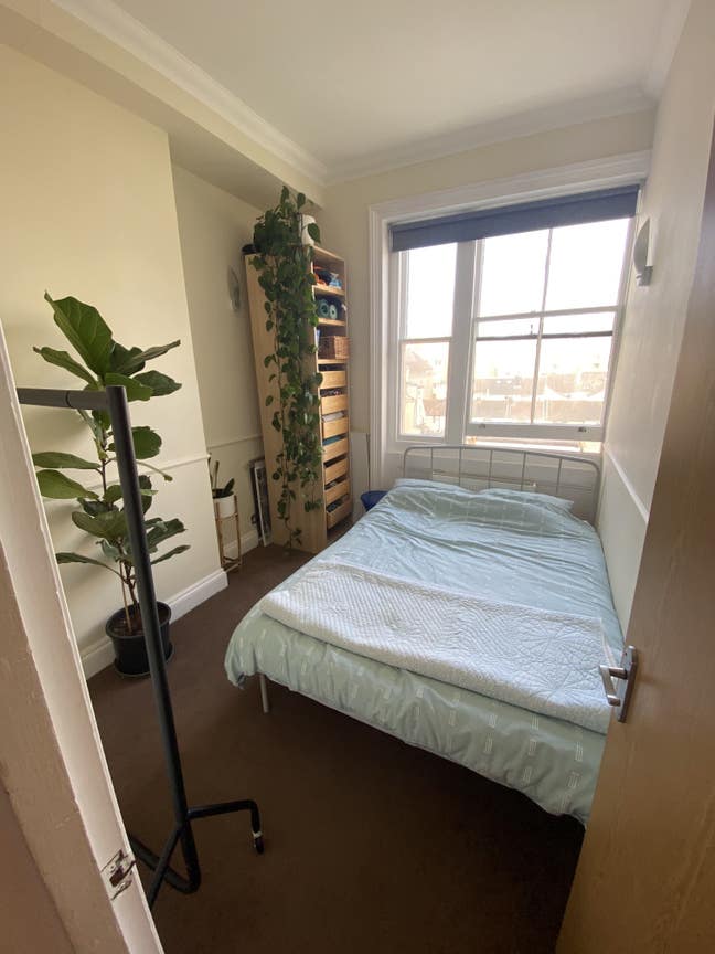 Room in Gorgeous Flat on Hove Seafront  Main Photo