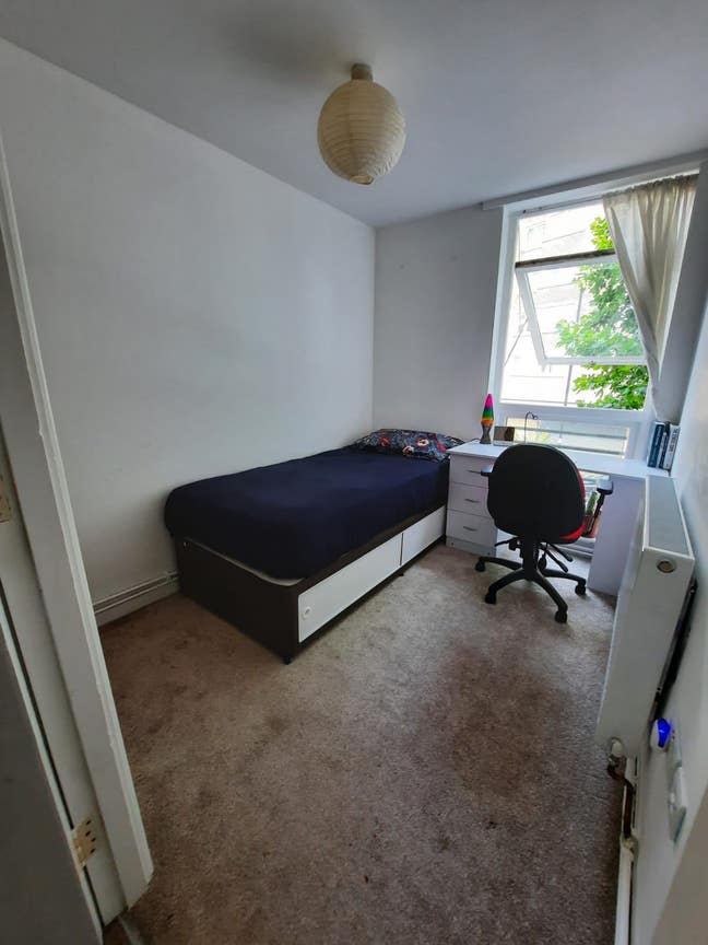 Single room just for dog lovers Main Photo
