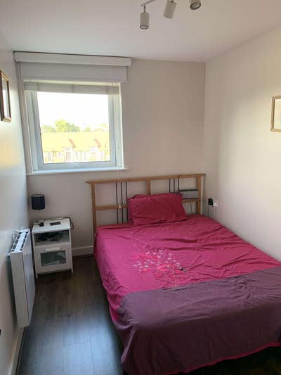 Double room in friendly Greenwich flat-share  Main Photo
