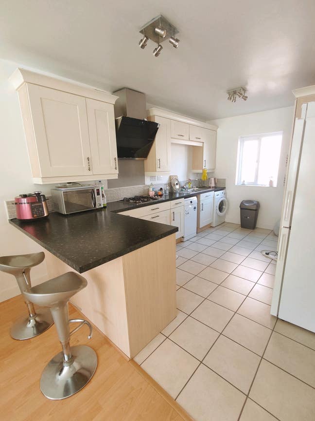 Large Double Room looking for female lodger Main Photo