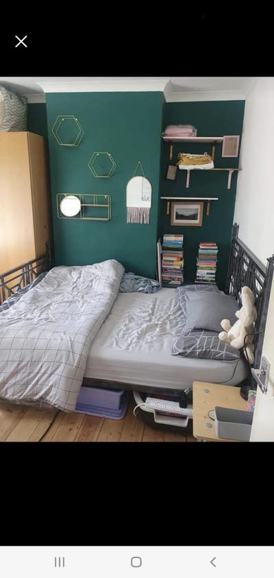 Bright, Double rm in friendly LGBTQ+, veggie/vegan Main Photo