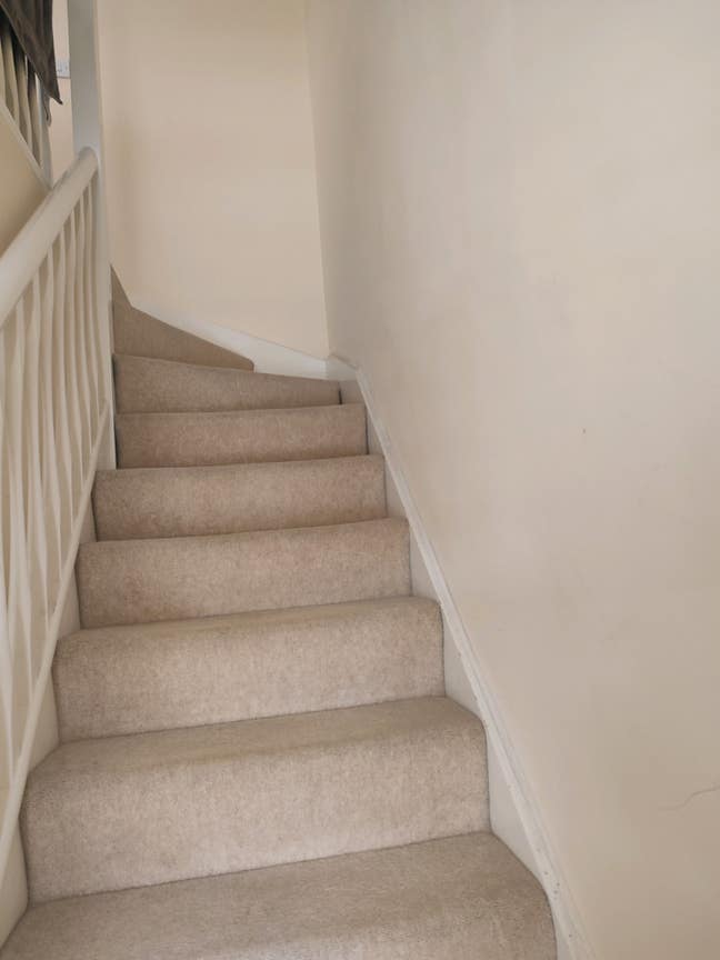 Lovely home for rent for professional ladies Main Photo