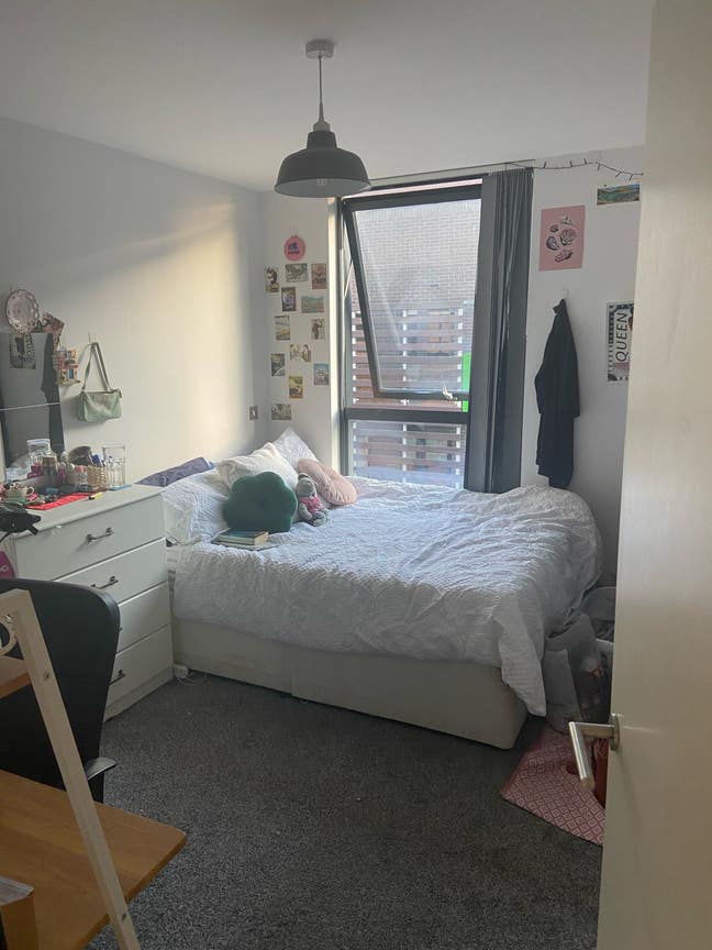 Double Room in Queer household 🌈 Main Photo