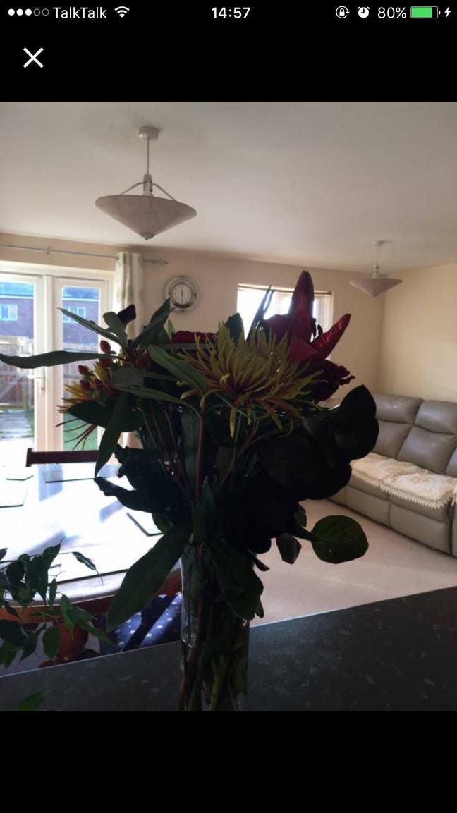 Super large Double room avalible  Main Photo